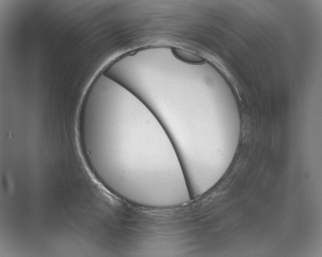 X0000069801048200606021434