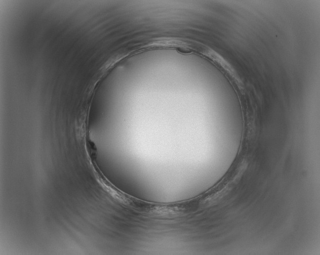 X0000069801049200606021434