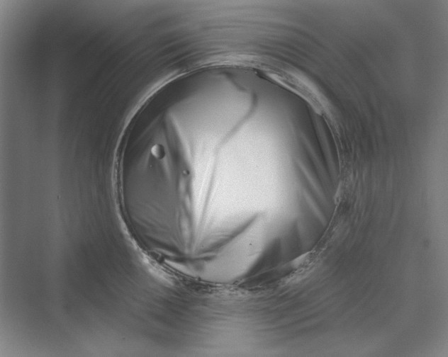 X0000069801050200606021434