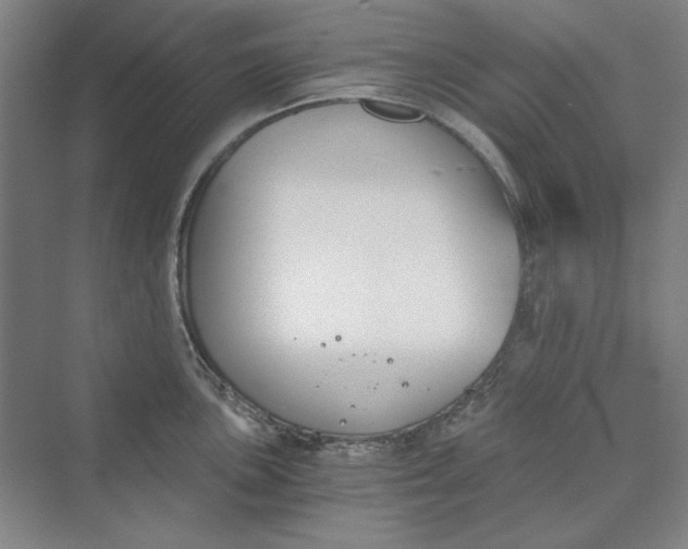 X0000069801051200606021434