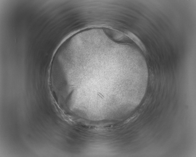 X0000069801052200606021434