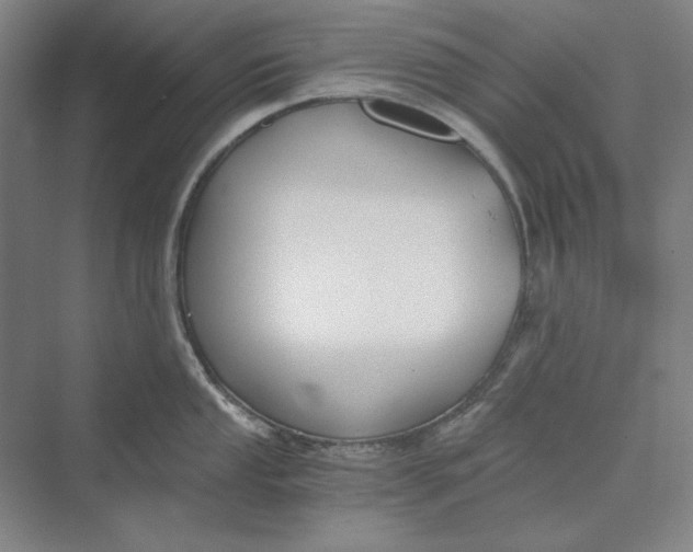 X0000069801053200606021434