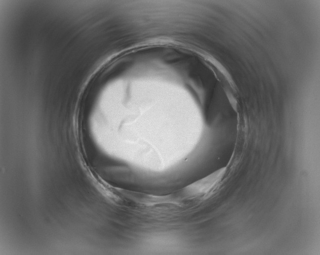 X0000069801054200606021434