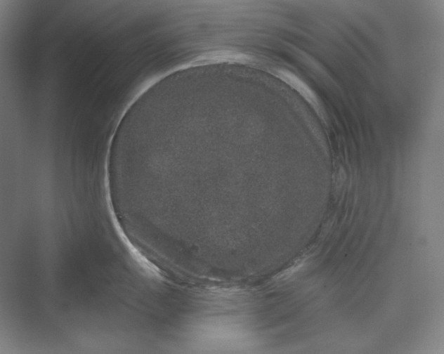 X0000069801055200606021434