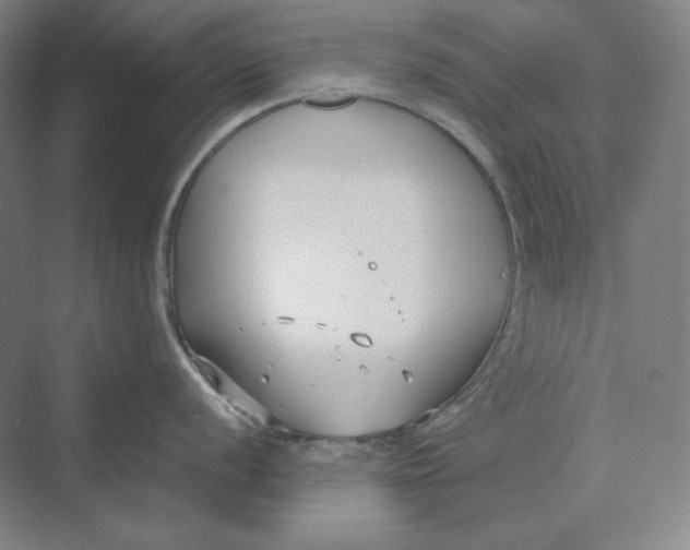 X0000069801056200606021434