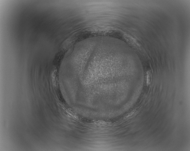 X0000069801059200606021433