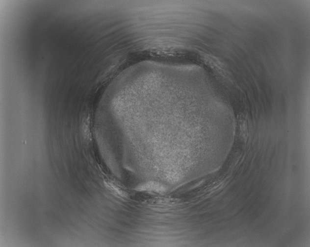 X0000069801060200606021433