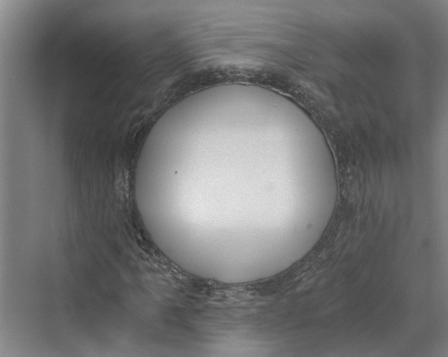 X0000069801061200606021433