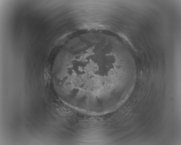 X0000069801063200606021433