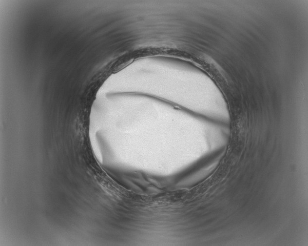 X0000069801064200606021433