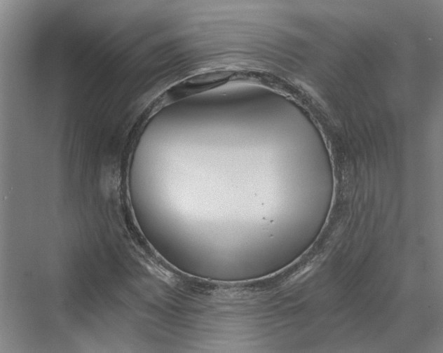 X0000069801065200606021433