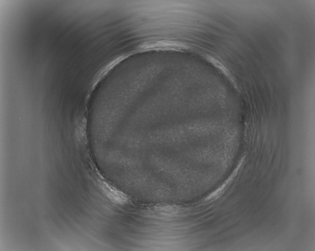 X0000069801066200606021433