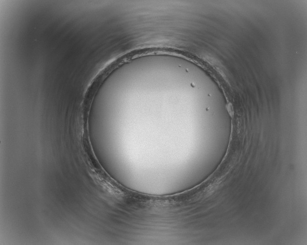 X0000069801069200606021433