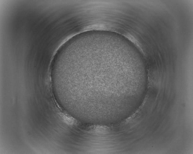 X0000069801070200606021433