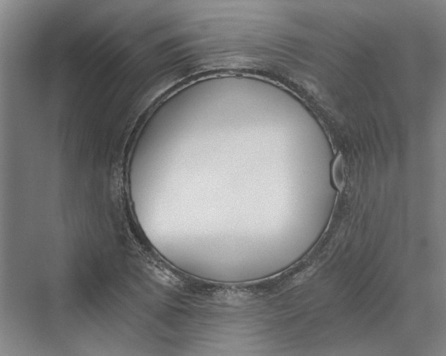 X0000069801073200606021433