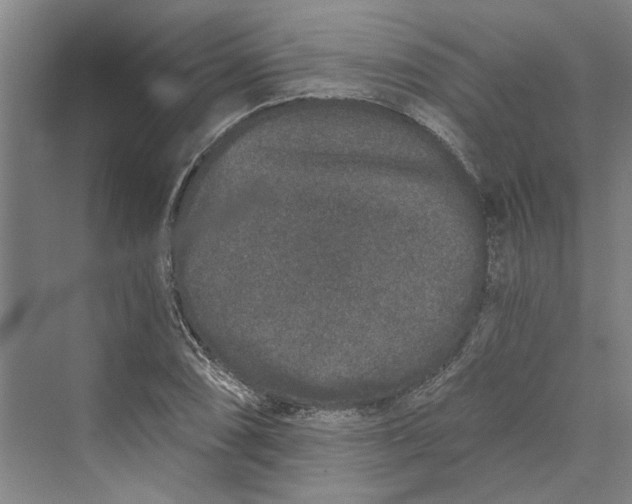 X0000069801074200606021433