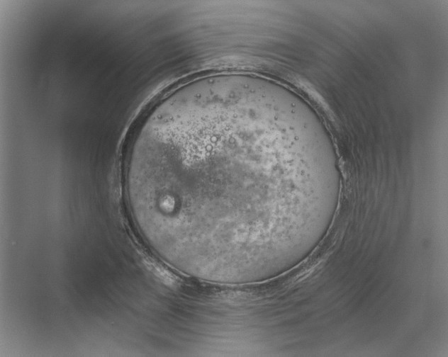 X0000069801075200606021433