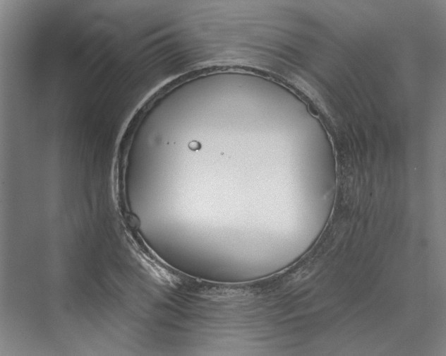 X0000069801076200606021433