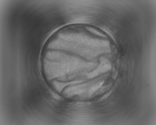 X0000069801077200606021433