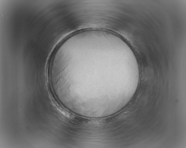 X0000069801078200606021433