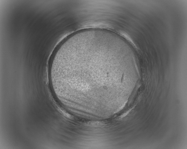 X0000069801079200606021433