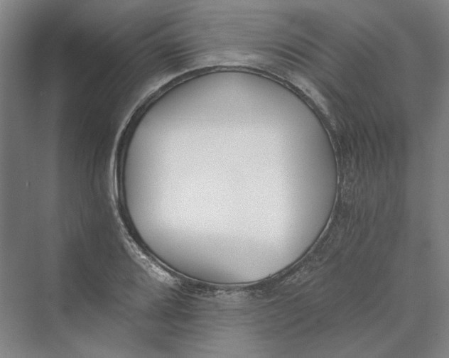 X0000069801080200606021433