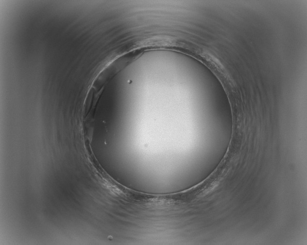 X0000069801081200606021433