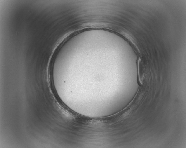 X0000069801082200606021433