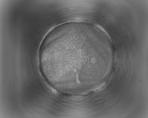 X0000069801083200606021433