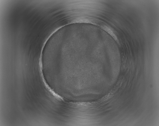 X0000069801084200606021433