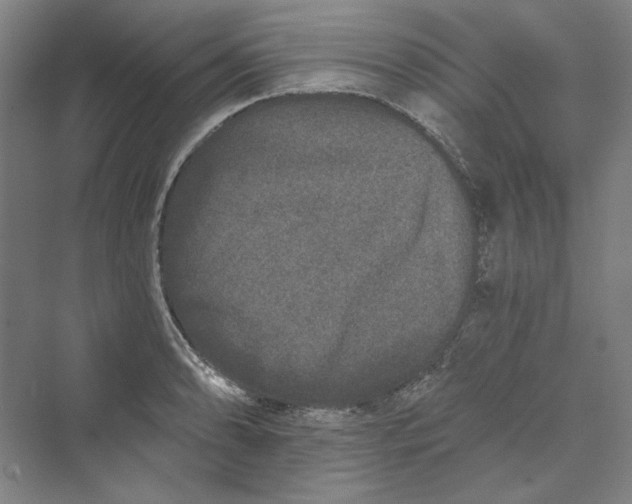 X0000069801086200606021433