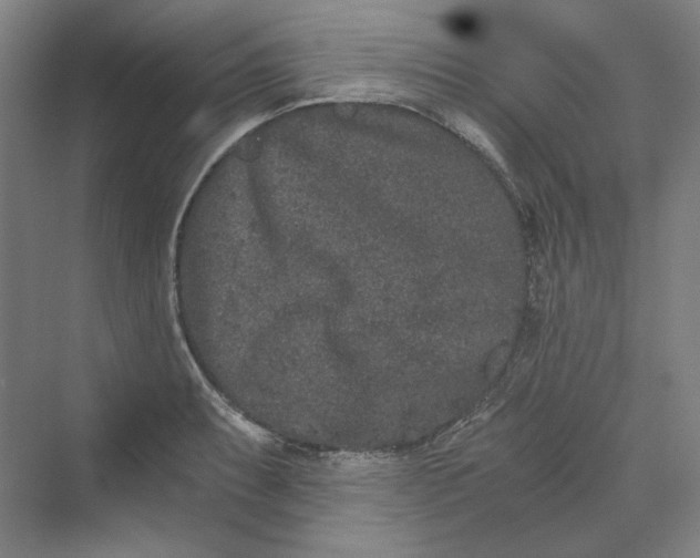 X0000069801087200606021433