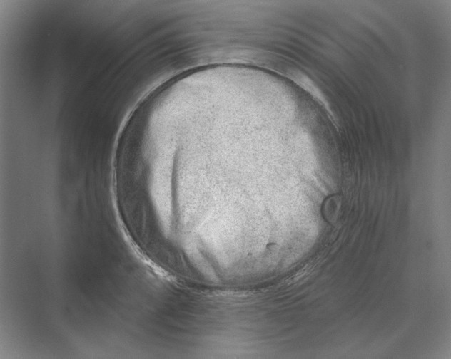 X0000069801088200606021433