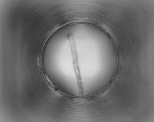 X0000069801089200606021433