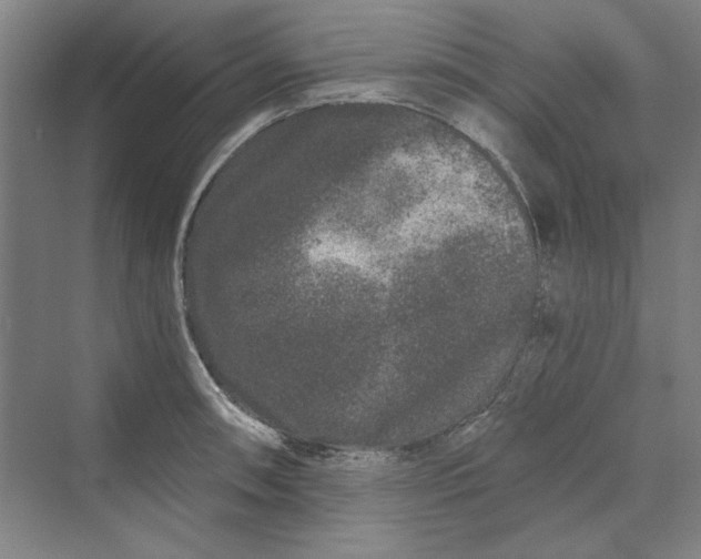 X0000069801090200606021433