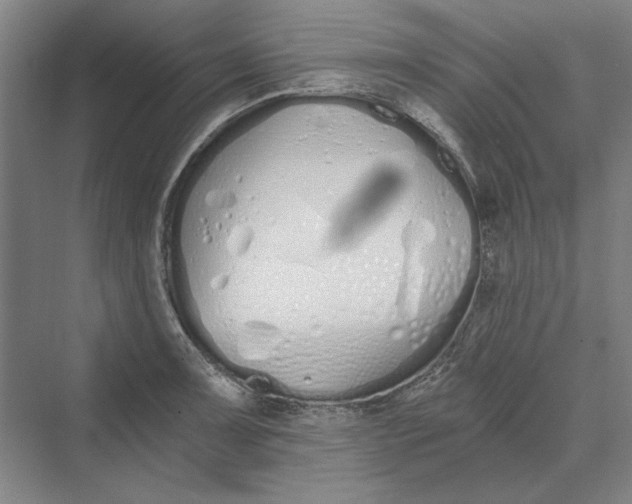 X0000069801091200606021433