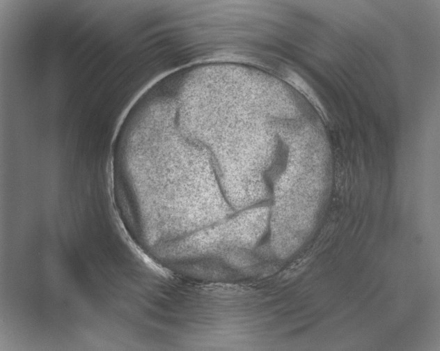 X0000069801092200606021433