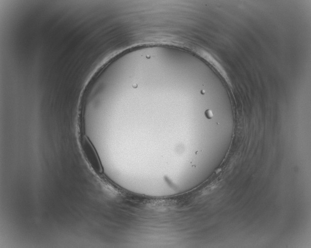 X0000069801093200606021433