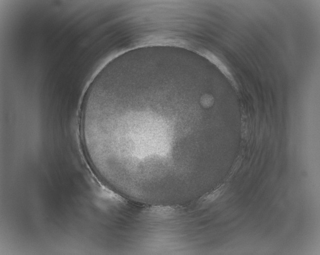 X0000069801094200606021433