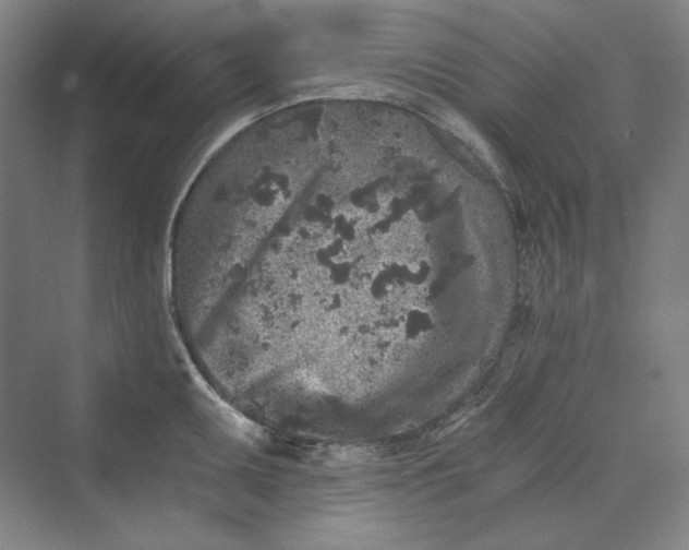 X0000069801095200606021433