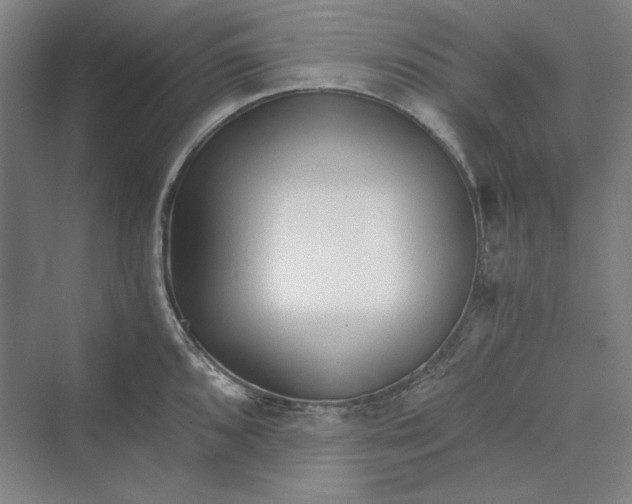 X0000069801096200606021433