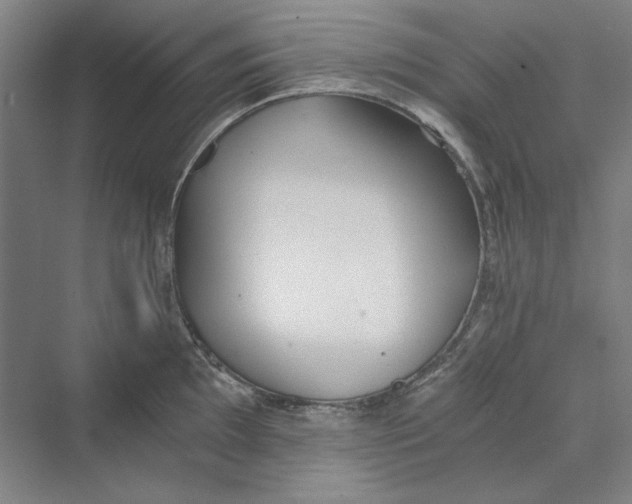 X0000069801097200606021433