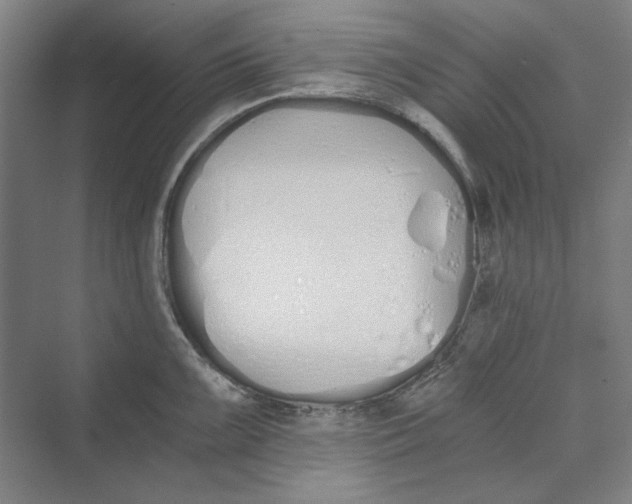 X0000069801099200606021433