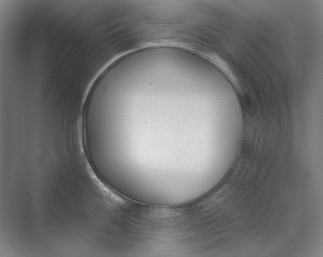 X0000069801100200606021433