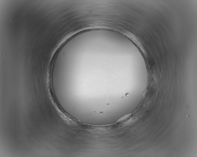 X0000069801101200606021433