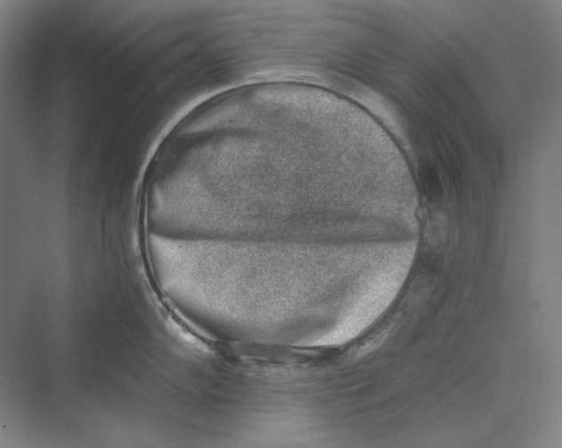 X0000069801102200606021433