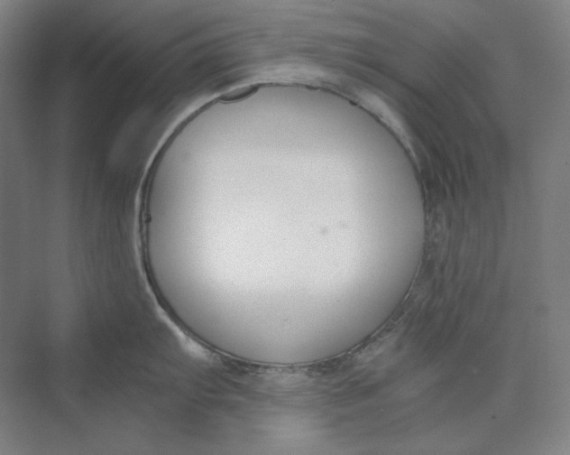 X0000069801103200606021433