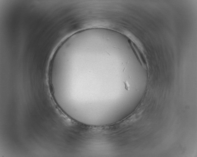 X0000069801104200606021433