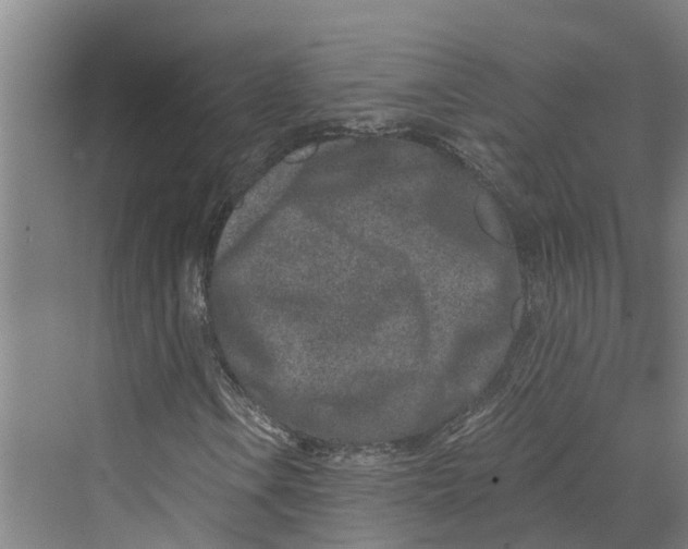 X0000069801106200606021432