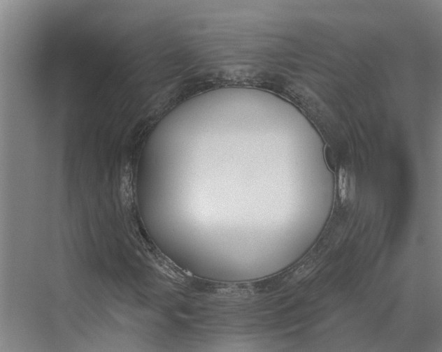 X0000069801107200606021432